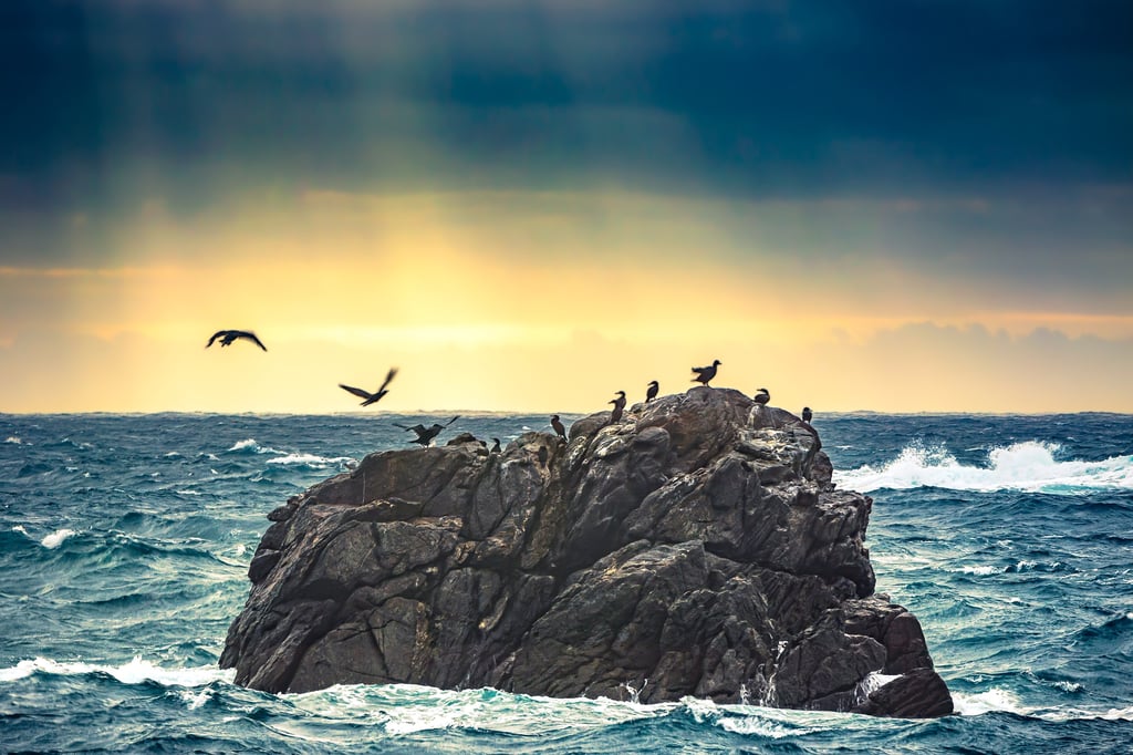 Photo originale de Anthony Leclerc d'un rocher qui abrite des cormorans à Ouessant