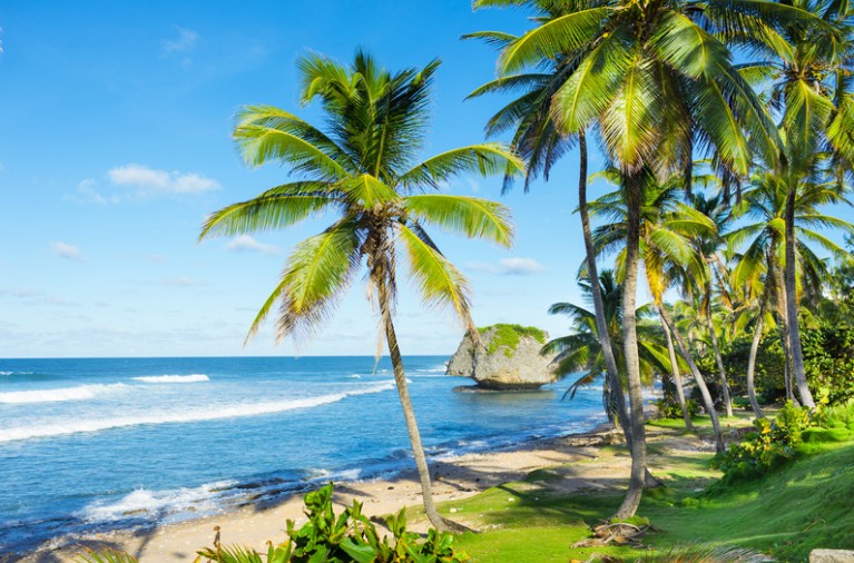 Bathsheba Beach, Barbados
