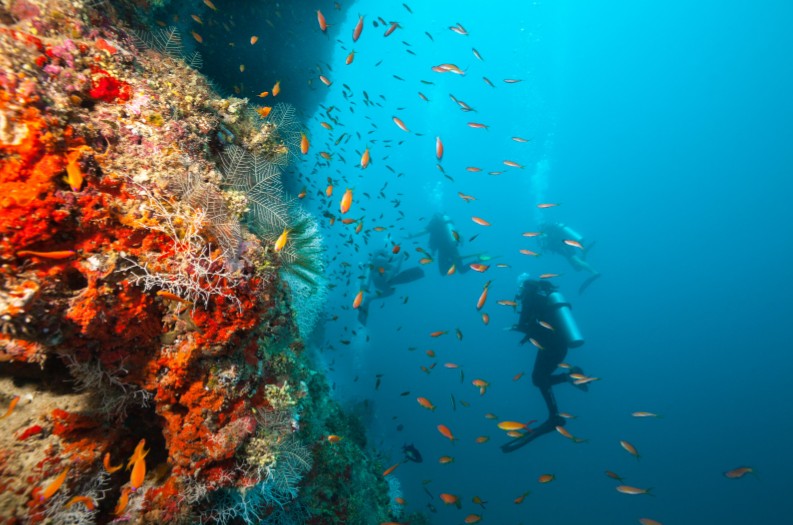 Scuba Diving in Bonaire Marine Park