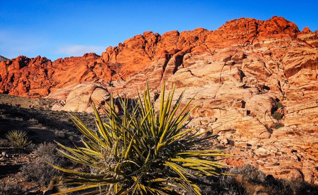 Red Rock Canyon