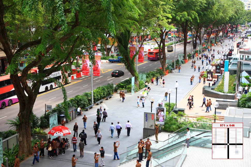 Orchard Road