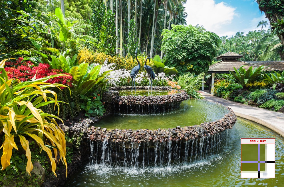 Singapore Botanic Gardens
