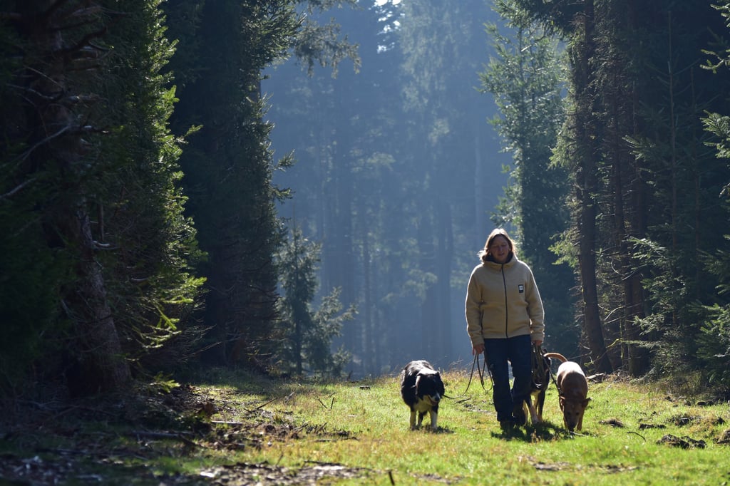 Eine Frau führt ihre drei Hunde auf einem sonnendurchfluteten, grasbewachsenen Pfad durch einen üppi