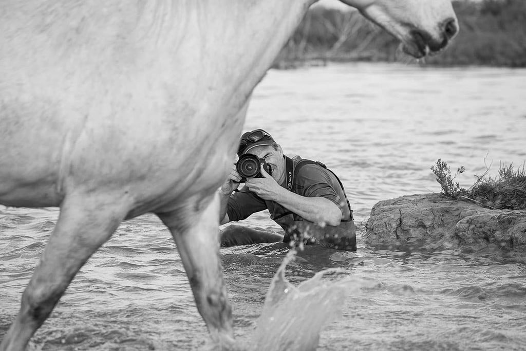 Pro photographer Patrice Aguilar kneeling in water to photograph a white Camargue horse.