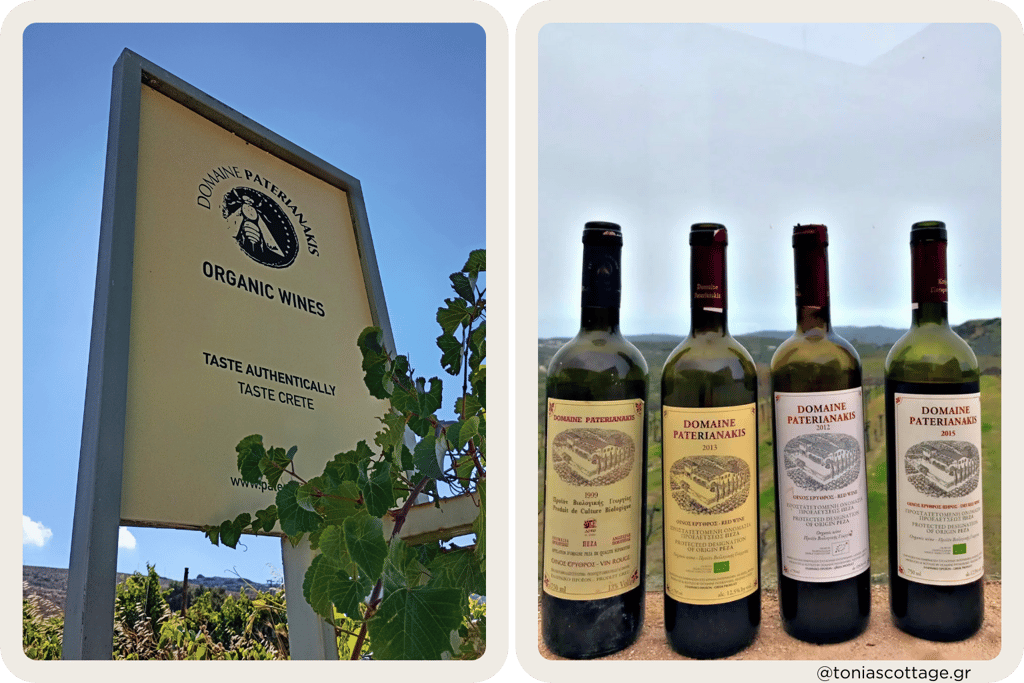 Sign of Domaine Paterianakis Winery in Melesses, with bottles of wine and a vineyard view