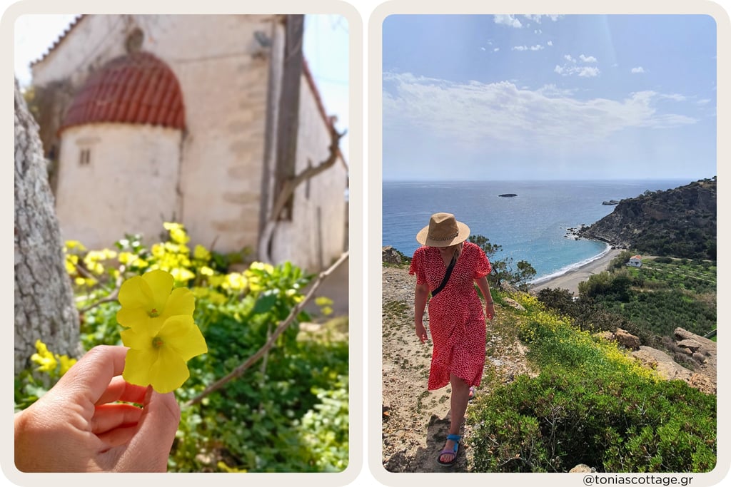 Spring in Crete: wildflower by a village chapel and woman hiking above a turquoise beach
