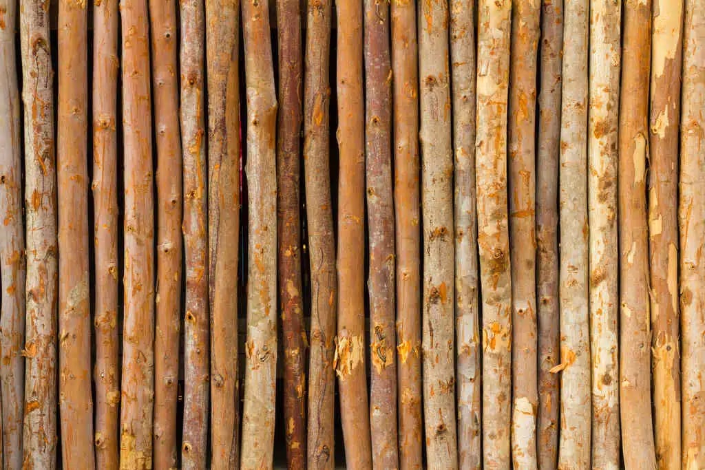 a bamboo - lined fence with a wooden fence