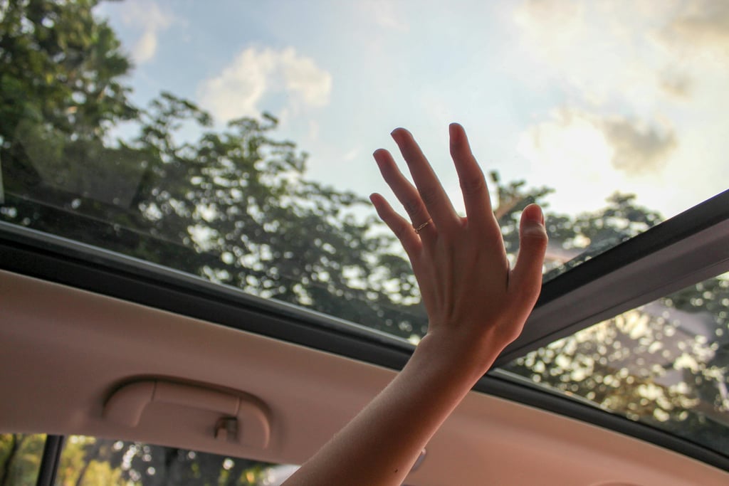 panoramic sunroof glass replacement League City, TX