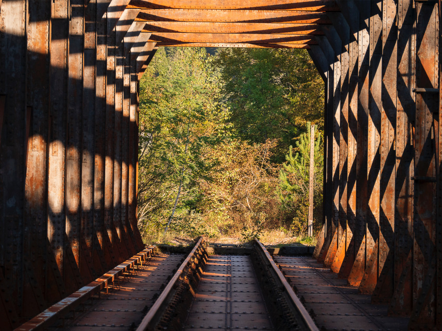 Pont ferroviaire de Molinges (39)