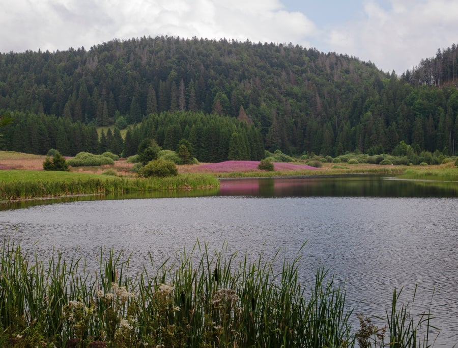 Lac de l'Embouteilleux Jura 39