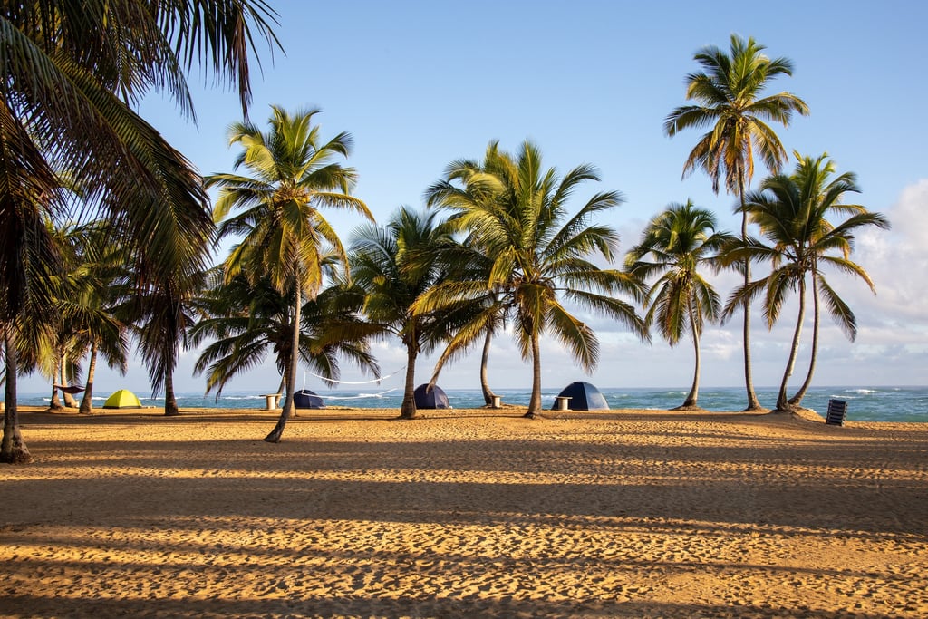 Camping on a palm-lined beach in the Dominican Republic near the Caribbean Sea