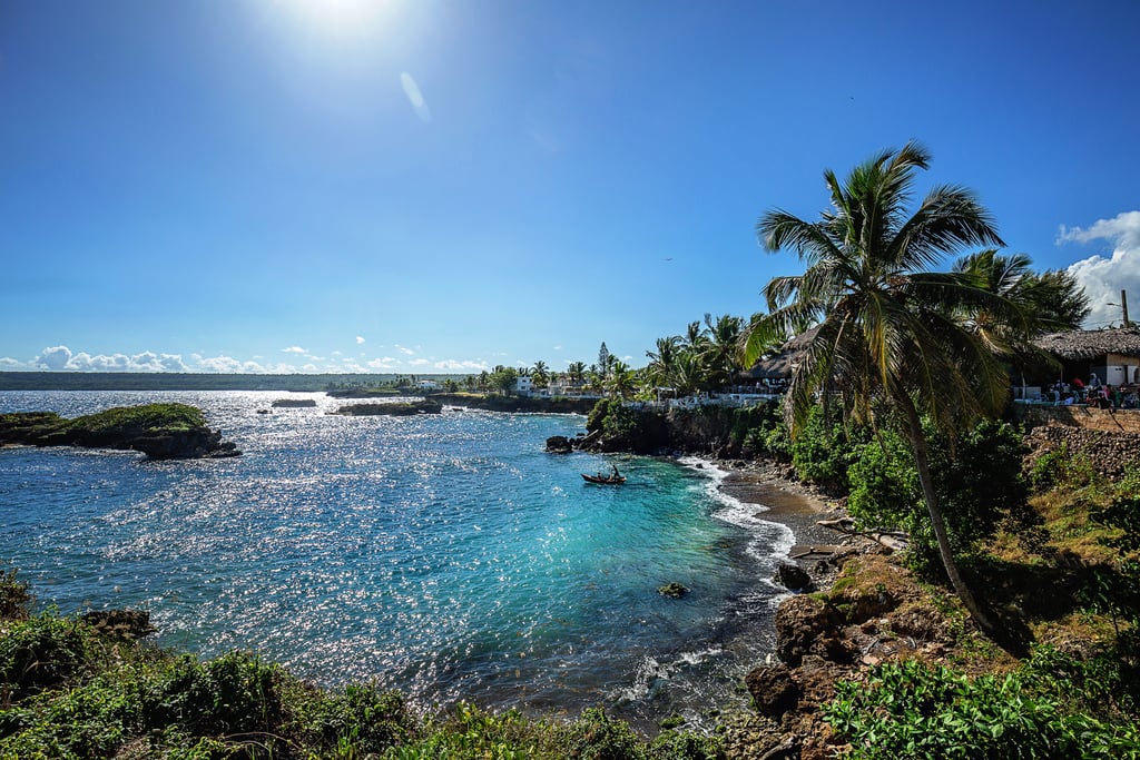 a view of a beach and palm trees in boca de yuma