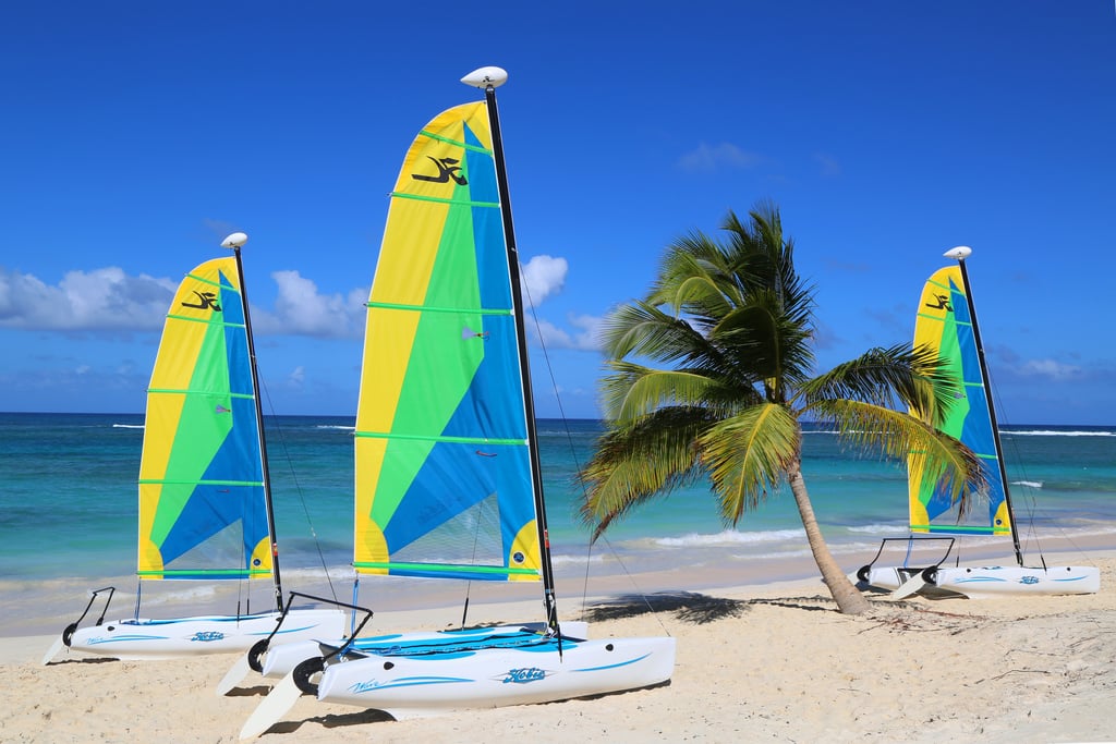 a group of hobie cats on a beach