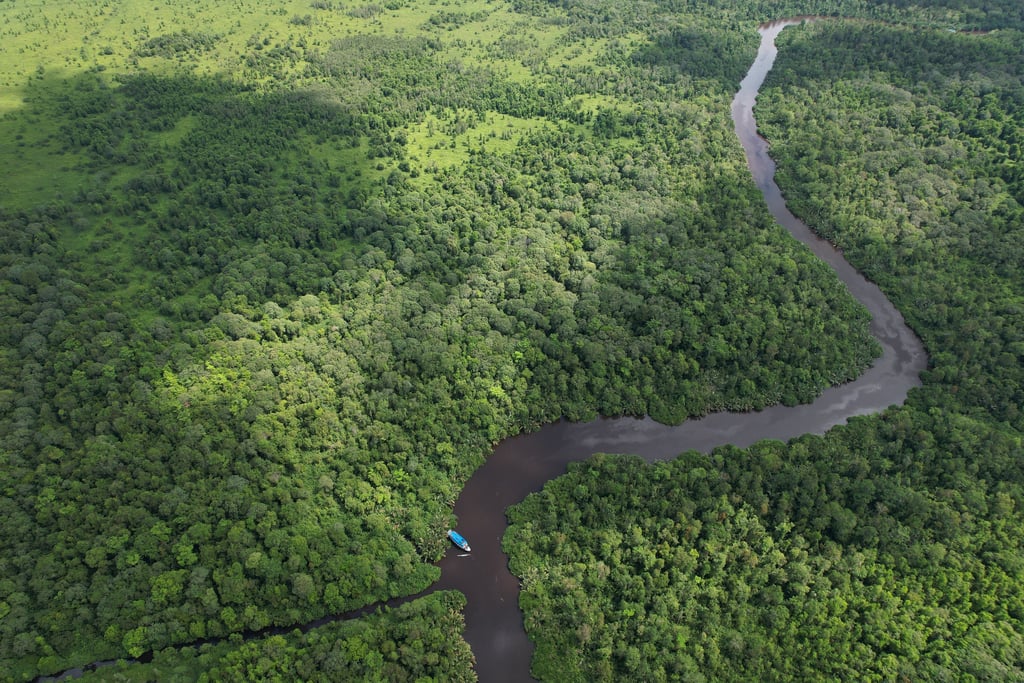 Sekonyer River from Bird's View
