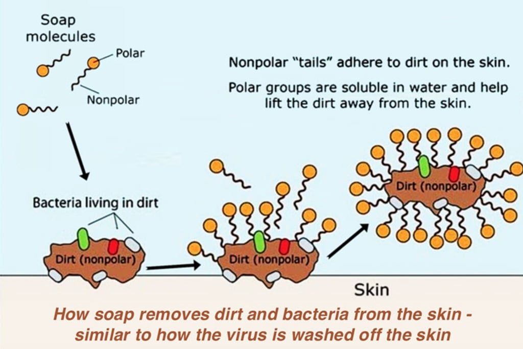 a diagram of how to use a skin care system