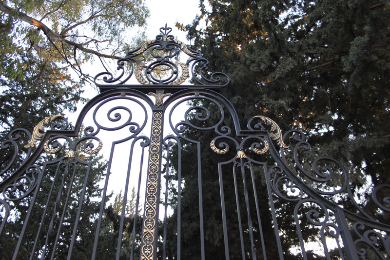 Porte de garage en acier métal fer forgé noir et or doré