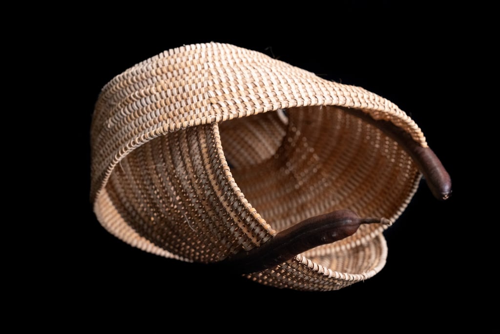 Cutting For Stone, 2025, cane, reed, lluvia de oro pods