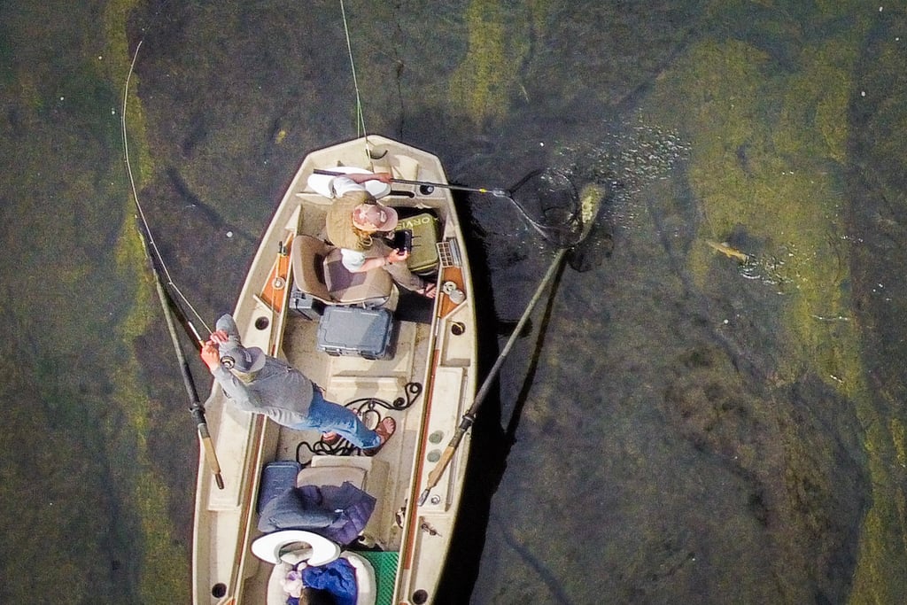 fly fishing guide trip on the South Holston