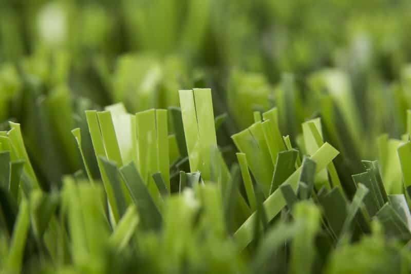 Duo grass turf
