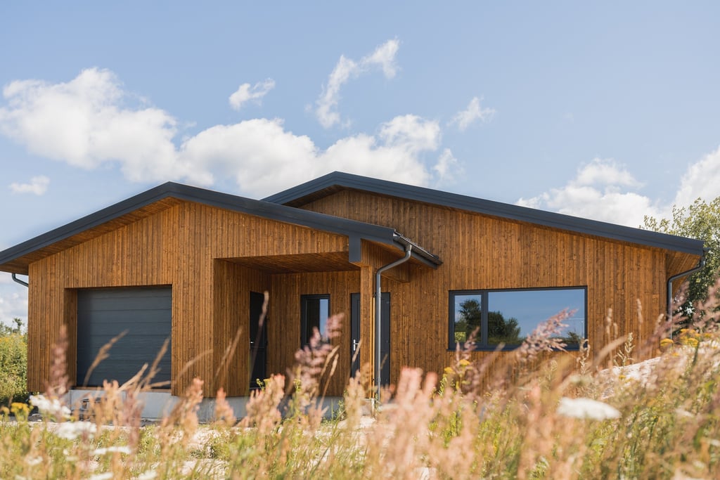 skydinis- karkasinis namas