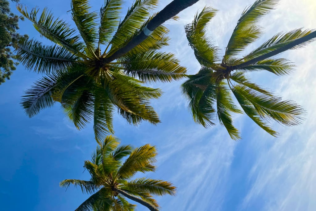 Beach experience in Honolulu