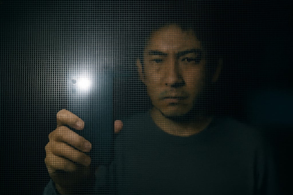 網戸越しにスマートフォンを向ける人物のイメージ画像｜堺市のニュースならサカイタイムズ