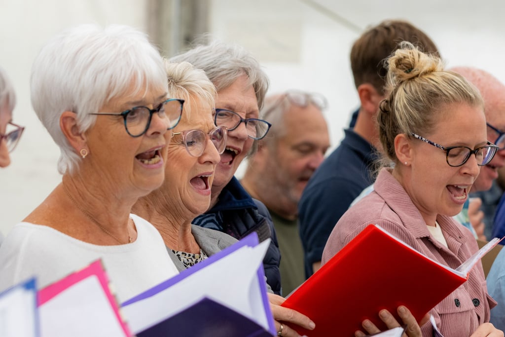 Cwmdu community choir at Cwmdu show
