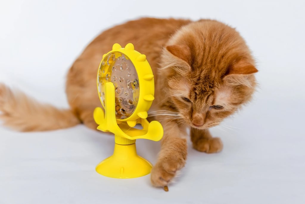 Orange tabby cat batting kibble from a yellow ring-shaped food puzzle designed to encourage hunting