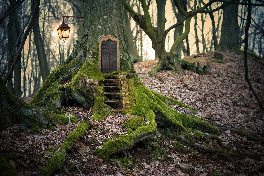 Bosco delle Fate, Carpegna Park, Carpegna, gichi per bambini, Bosco