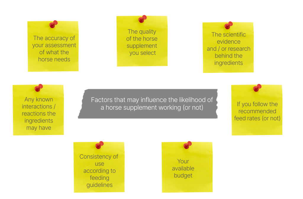 Factors of influence for horse supplements being effective