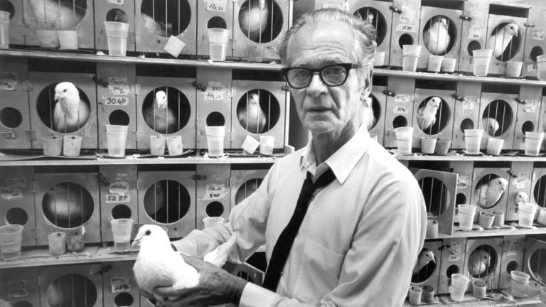 experimento palomas de skinner