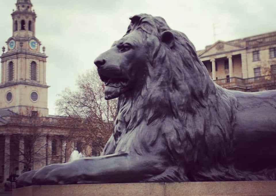 The lion at Trafalgar Square, London.