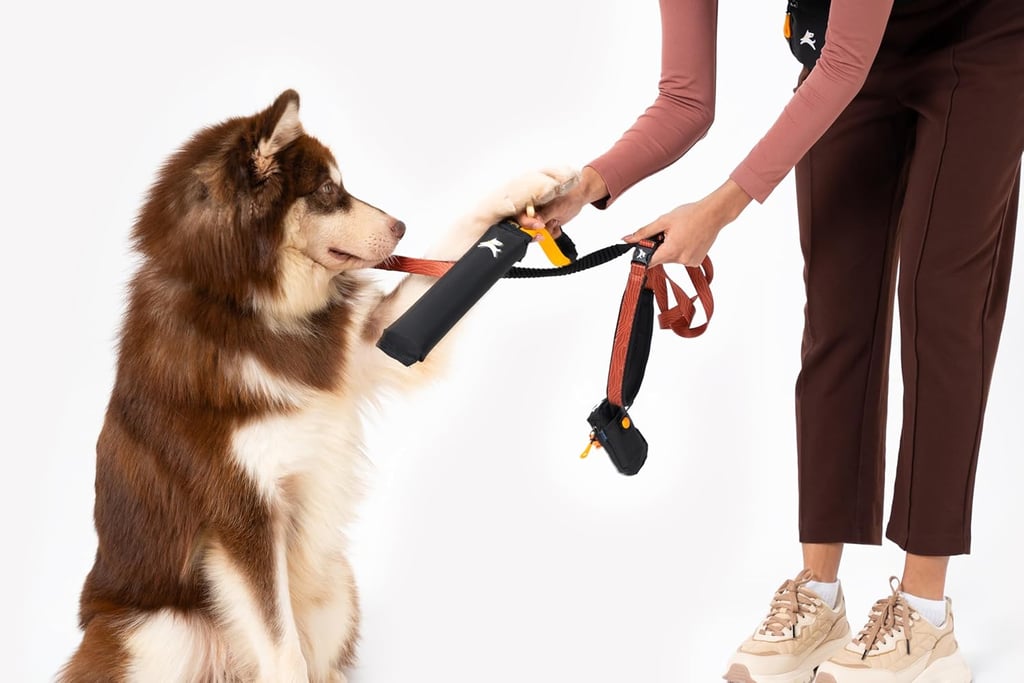 OllyDog Tugger | Durable Dog Tug Toy | Recycled | Tough Dog Bite Pillow | Handle | Interactive Pull 