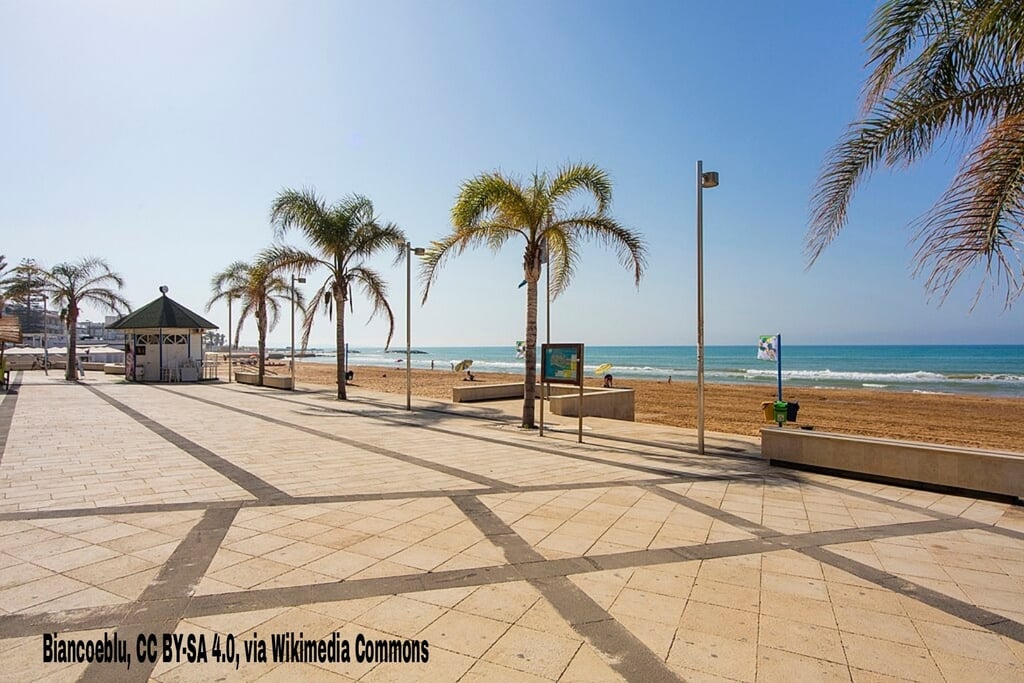 a beach with palm trees and a bench marina di ragusa sicily beach 