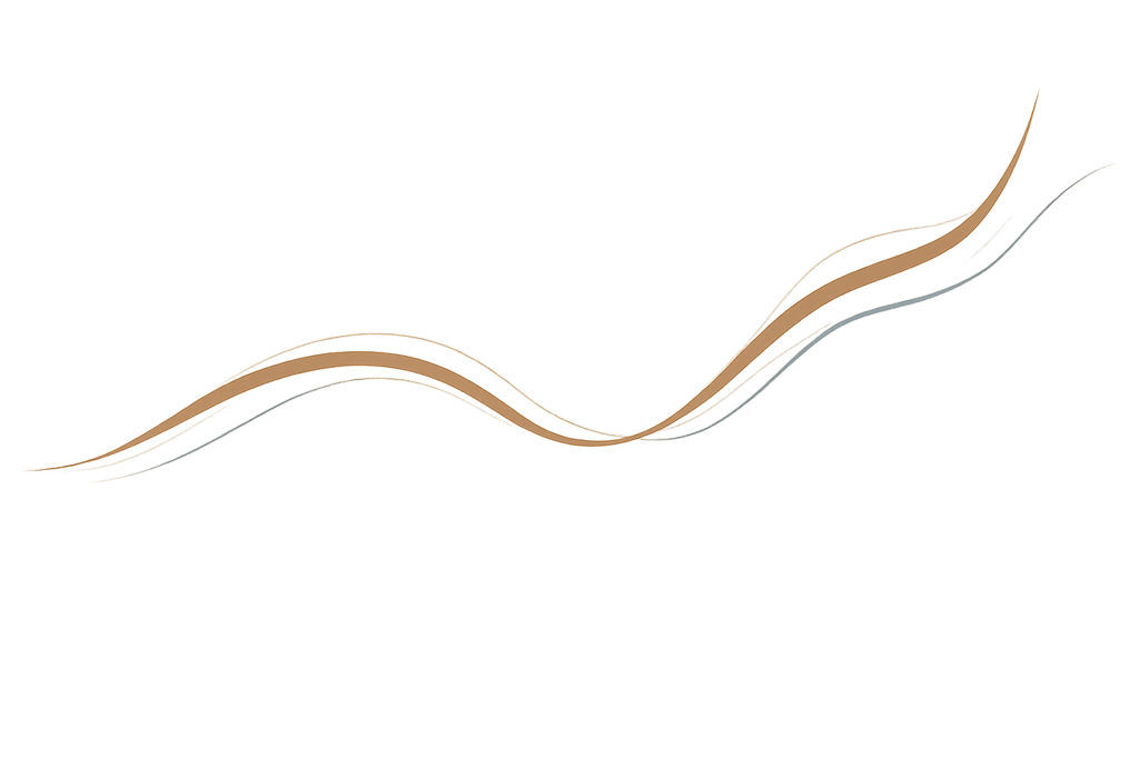 Fluxo ilustrativo de evolução Áureas Consulting