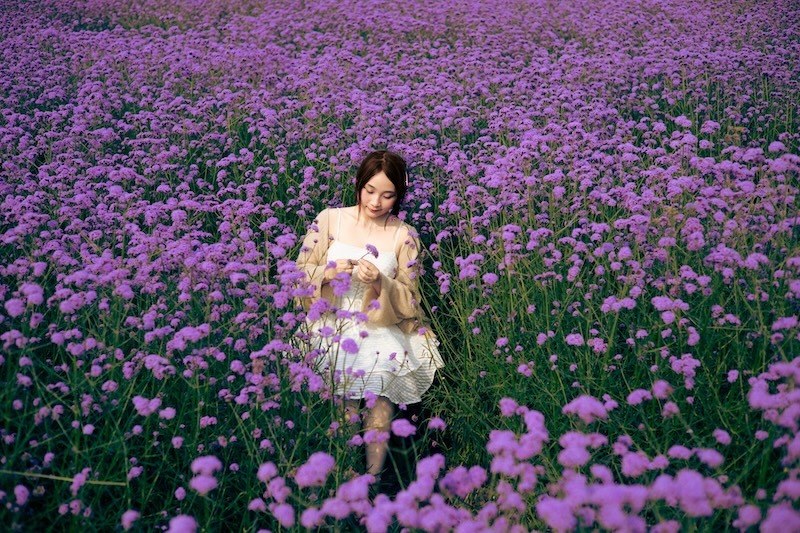 Cách tạo dáng nàng thơ mùa hè rực rỡ giữa những đóa hoa