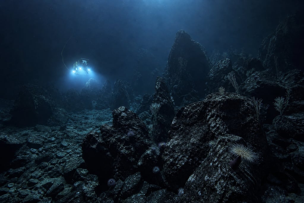 A deep sea submersible explores a dark underwater rocky landscape with glowing lights and marine life.