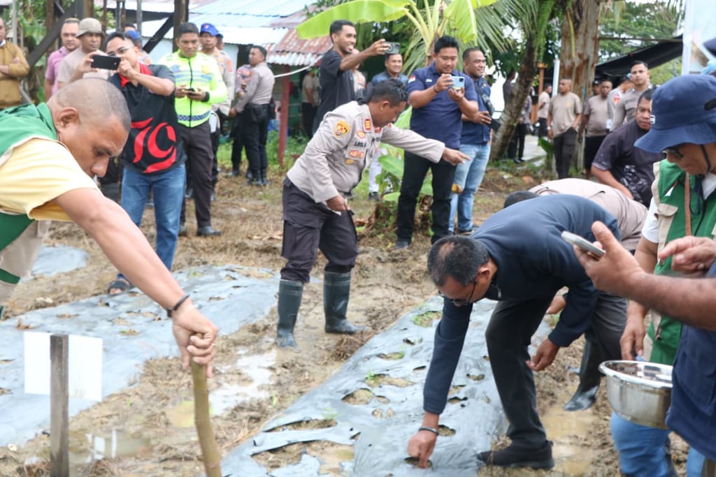 Polres Kepulauan Aru Giat Laksanakan Penanaman Jagung