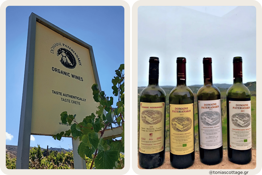 Sign of Domaine Paterianakis Winery in Melesses, with bottles of wine and a vineyard view