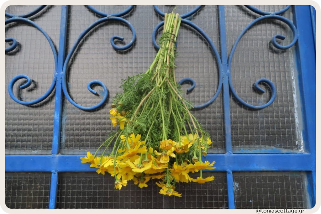 Yellow wildflowers hung on a blue iron gate for May Day in Crete.