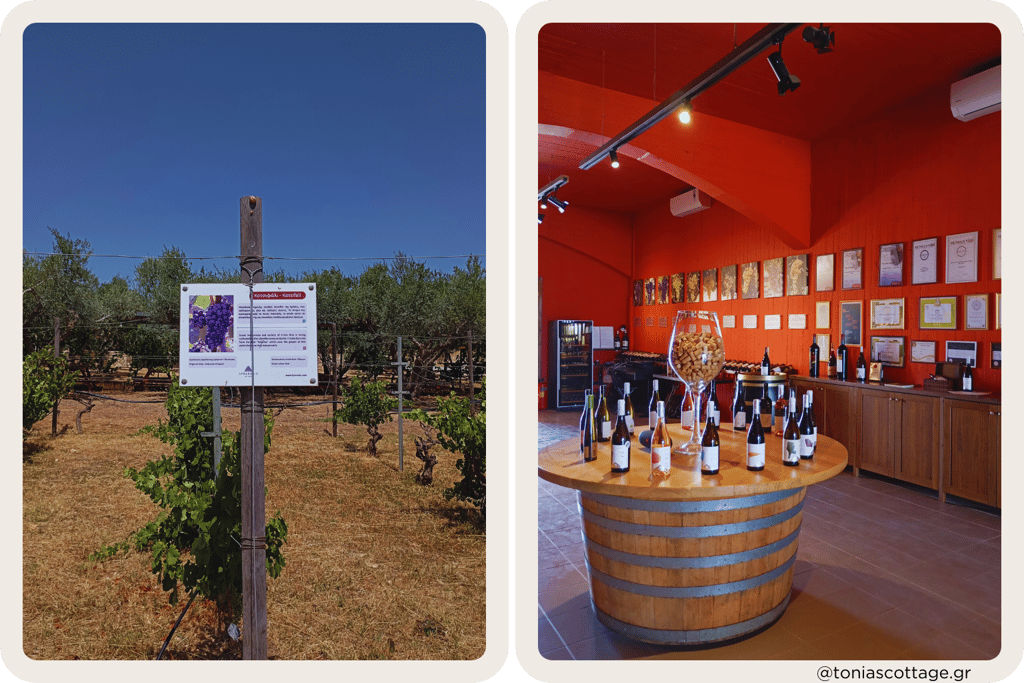 Lyrarakis Winery in Alagni, Crete, featuring a wine exhibition and guided wine tour