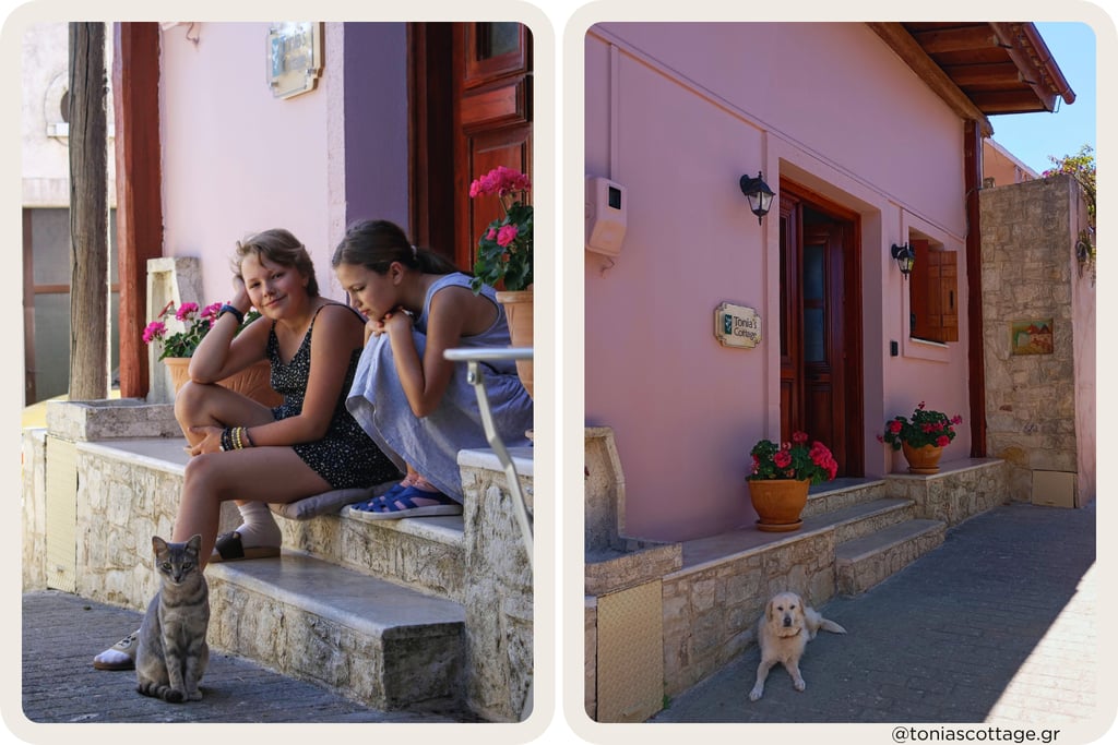 Holiday cottage, home rental in village in Crete