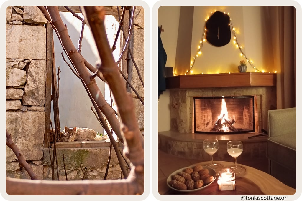 Winter at Tonia Cottage: cat in stone window and cozy fireside with Christmas cookies and drink 