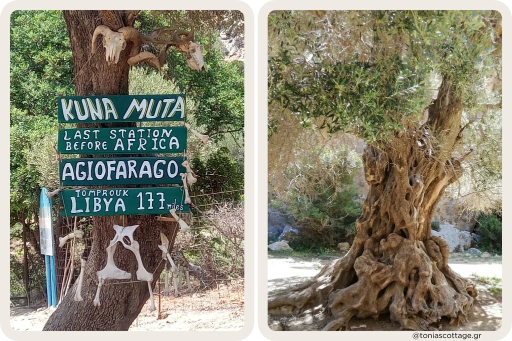 Snack bar Kuna Muta at the entrance of the walking trail to Agiofarago Gorge, Crete.