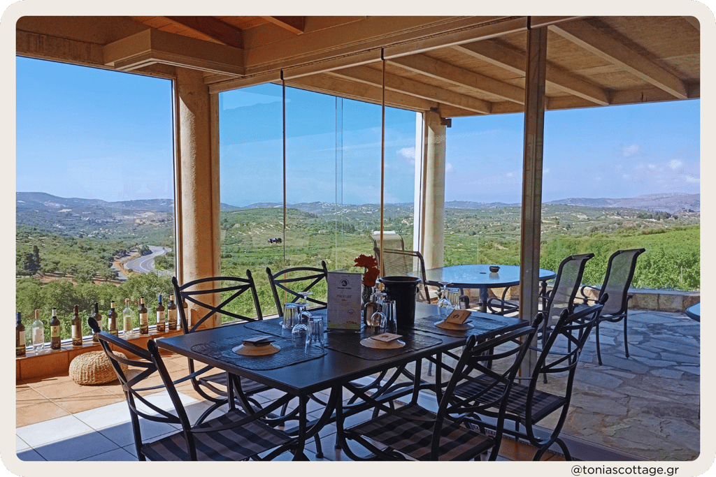 Paterianakis Winery in Crete - wine tasting with lunch, accompanied by stunning vineyard views