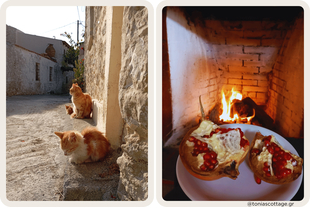Alagni Village streets with cats, and a cozy fireplace with a pomegranate | Tonia's Cottage