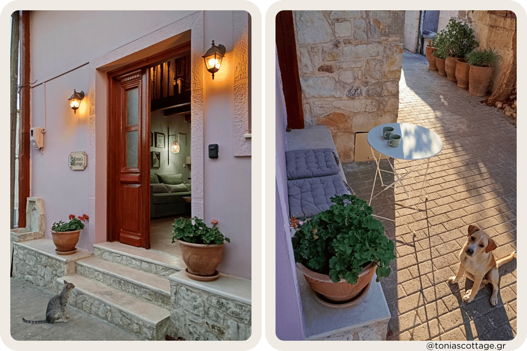 Entrance to Tonia's Cottage in Alagni Village with village cat and dog