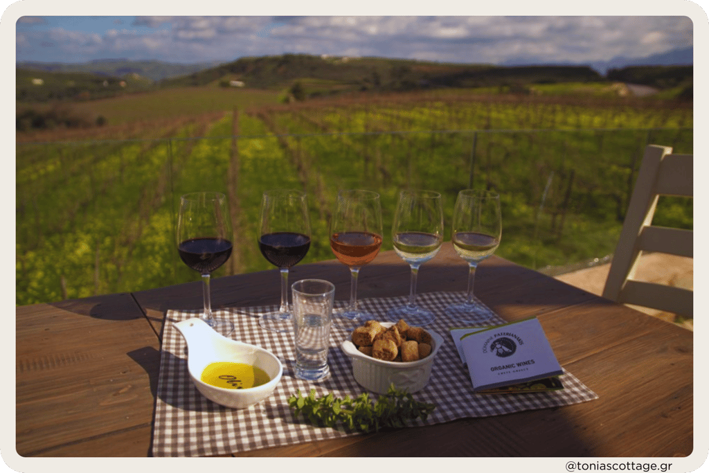 Paterianakis Winery in Crete - wine tasting with lunch, accompanied by stunning vineyard views