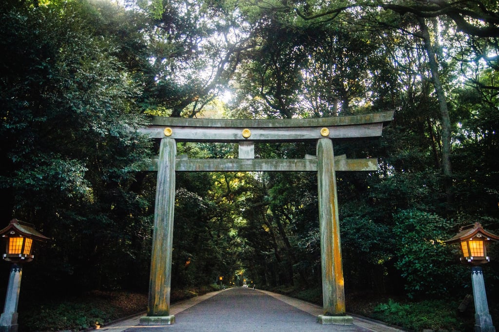 Meiji Jingu Torii Gate