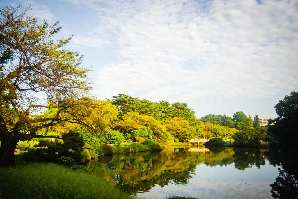 Shinjuku Gyoen Garden Pond